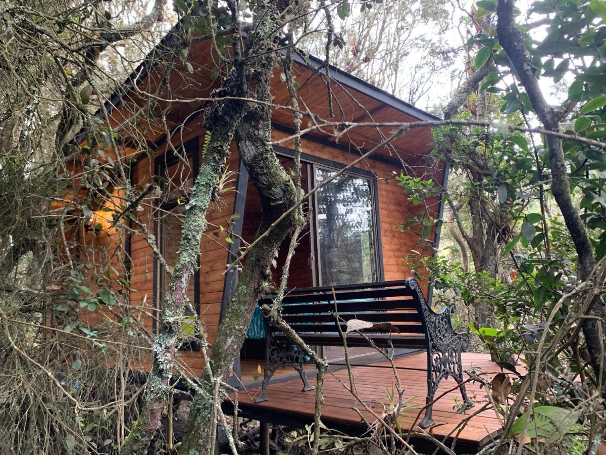Mirador Bosque Gran Torino Neusa Cogua Exterior foto